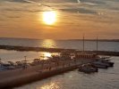 IMG_5866